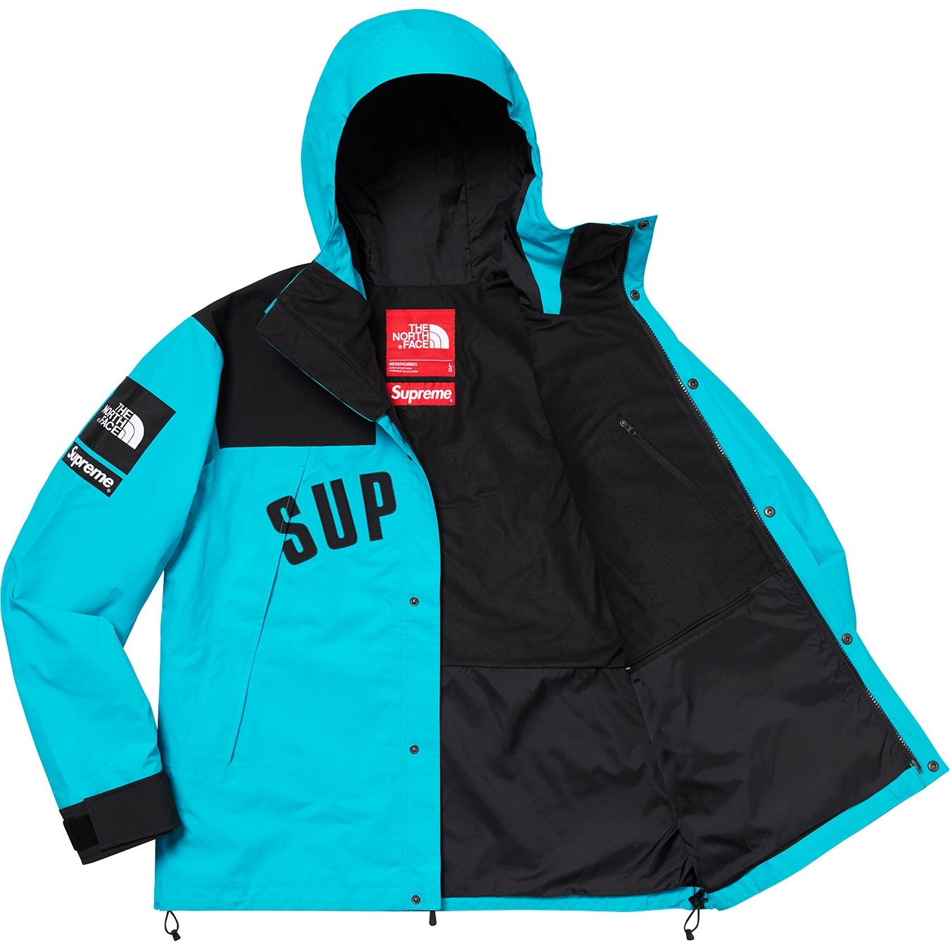 Supreme®/The North Face® Arc Logo Mountain Parka view 13